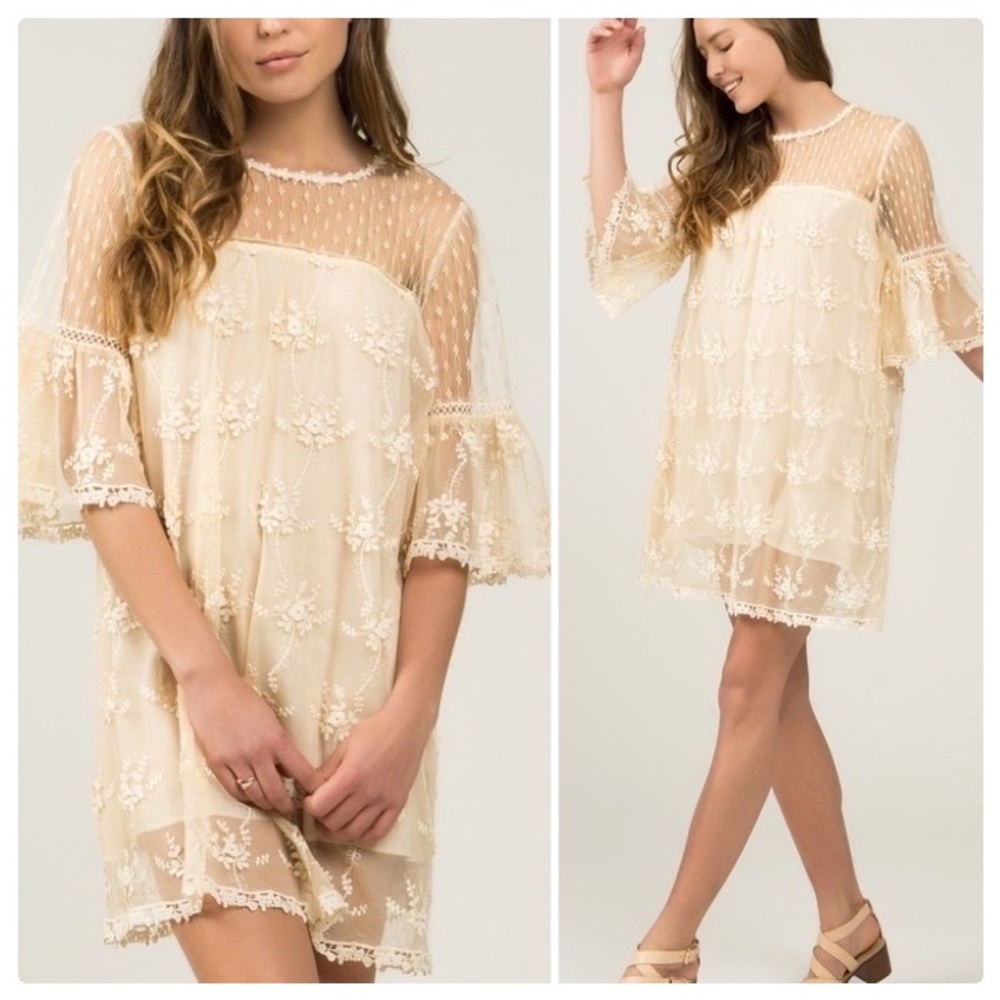 Honey Gold Dotted Lace Dress - Picture 6 of 9